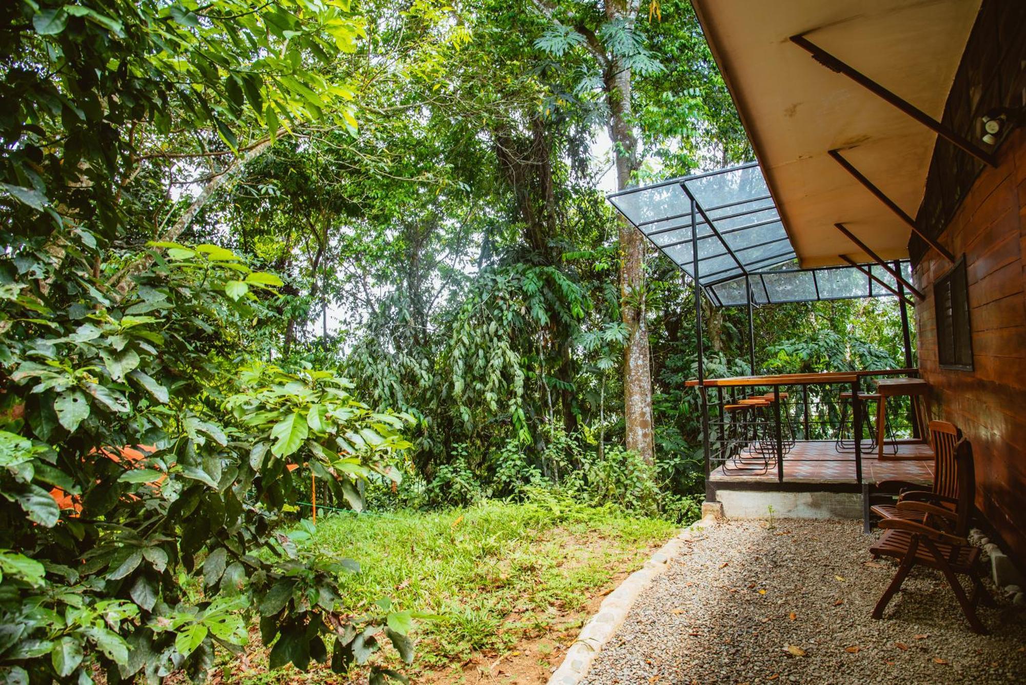 Aparthotel Selva Madre Eco-Sanctuary Cahuita Exterior foto