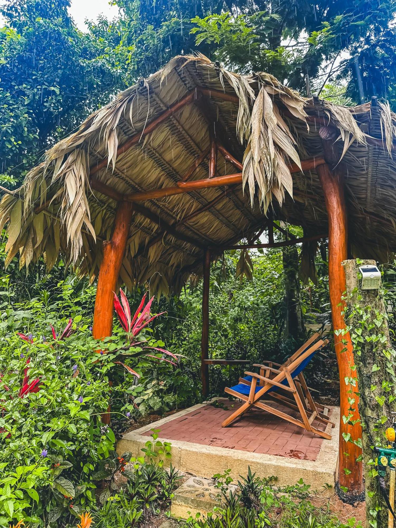 Aparthotel Selva Madre Eco-Sanctuary Cahuita Exterior foto