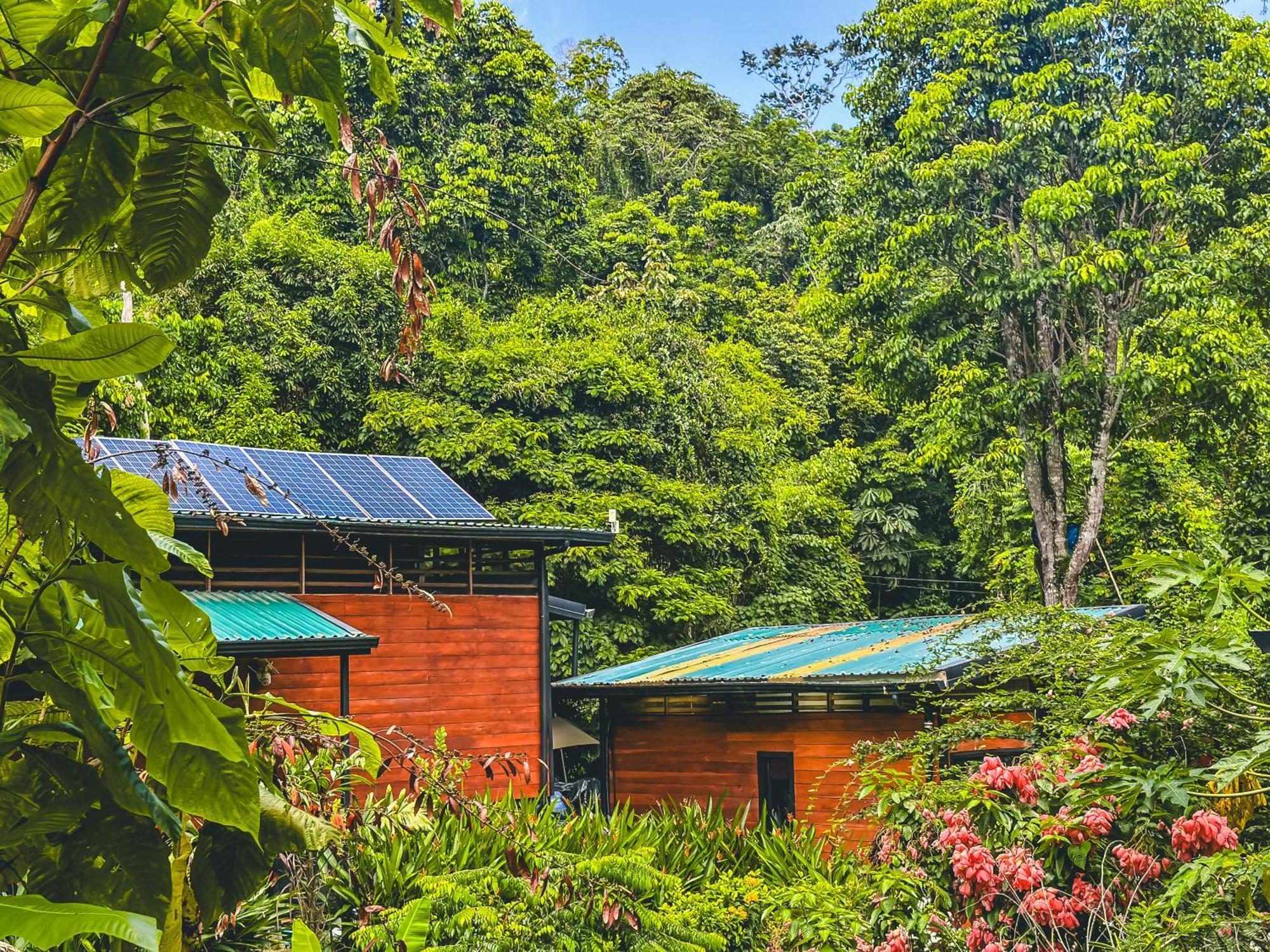 Aparthotel Selva Madre Eco-Sanctuary Cahuita Exterior foto