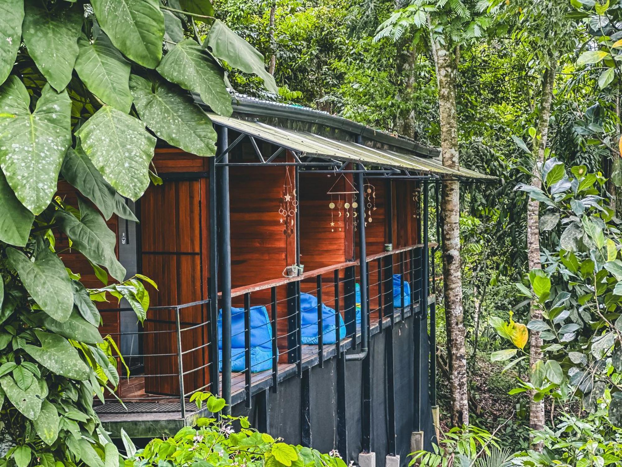 Aparthotel Selva Madre Eco-Sanctuary Cahuita Exterior foto